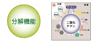 分解機能・特徴