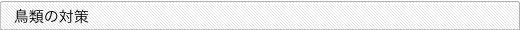 鳥類の対策
