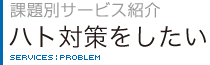 課題別サービス紹介　ハト対策をしたい